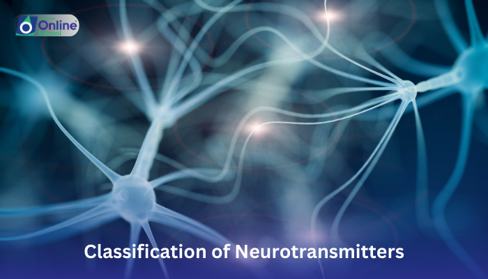 Lesson 16: Classification of Neurotransmitters